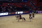 Quadrille - 00328